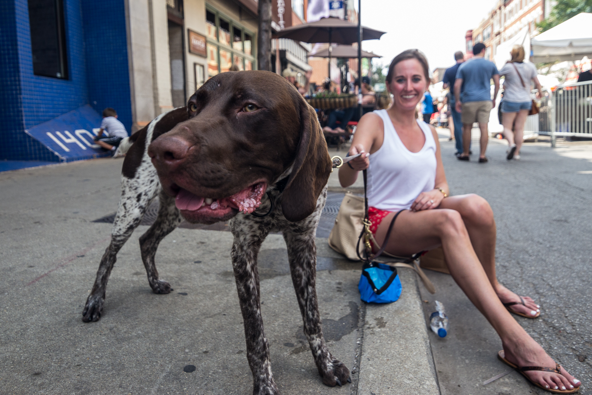 are dogs allowed at wicker park fest