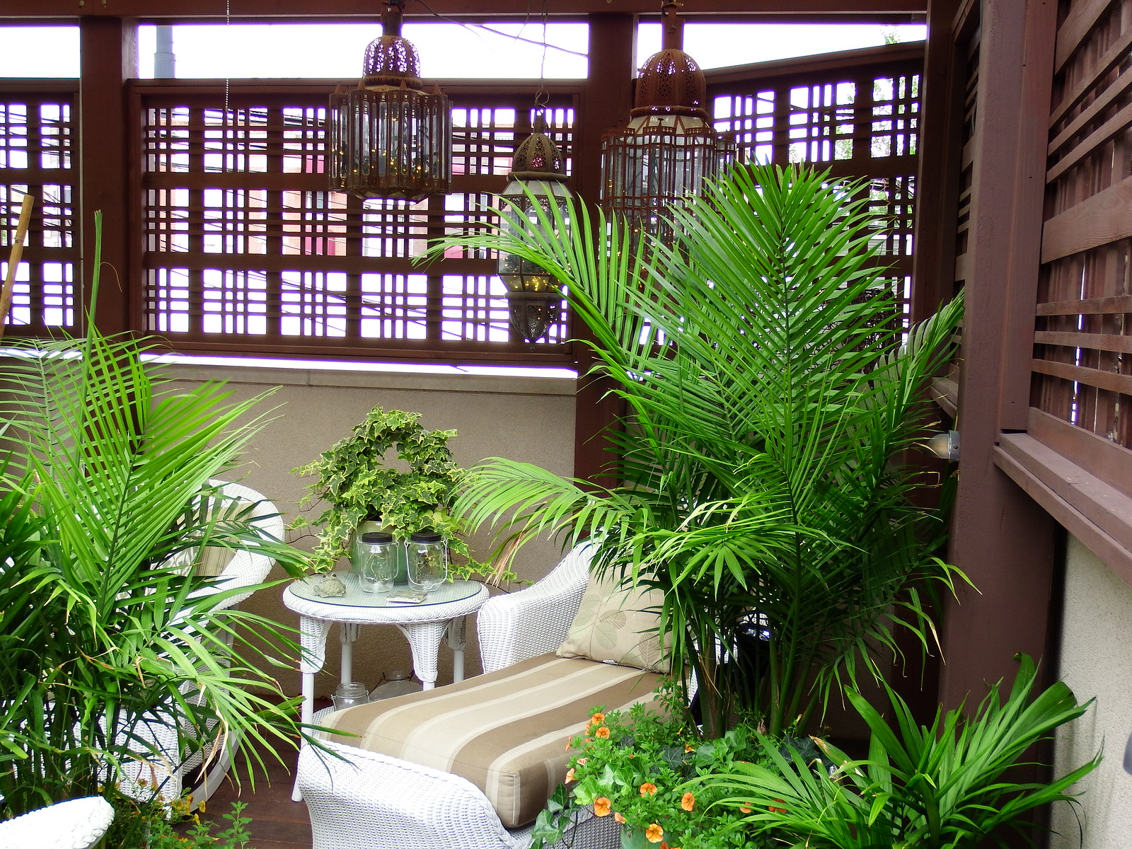 This Weekend’s Bucktown Garden Walk Offers Virtual Walking Tour, Front