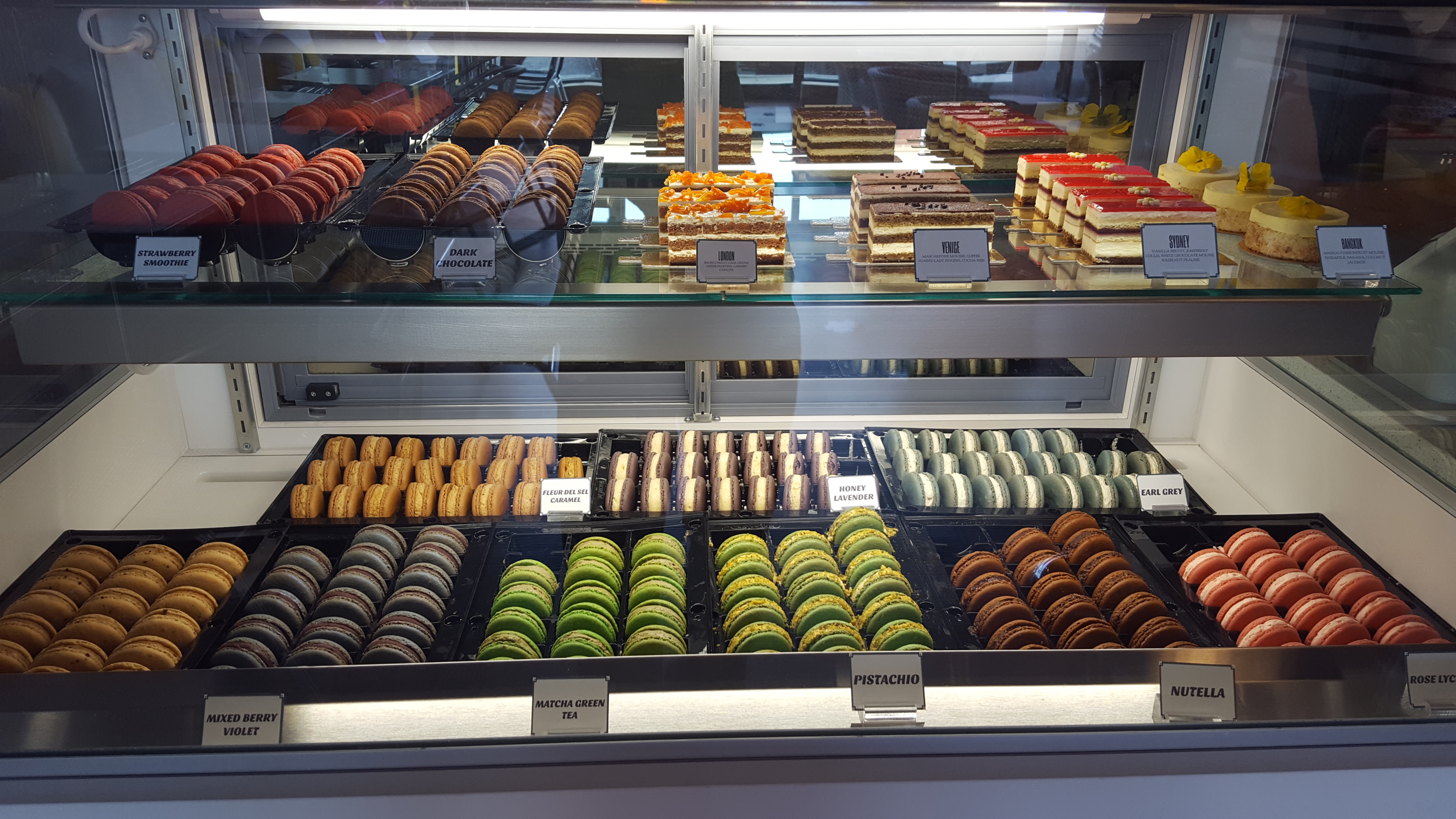 New Gelato Spot Eli's Ark Offers AnimalShaped Scoops Along North