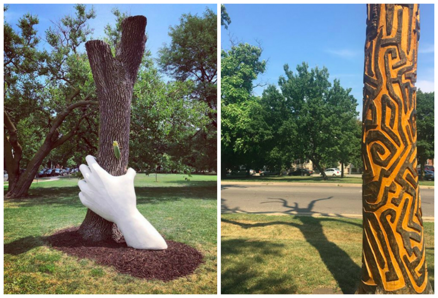 What's Up With The Funky Trees In Palmer Square Park?
