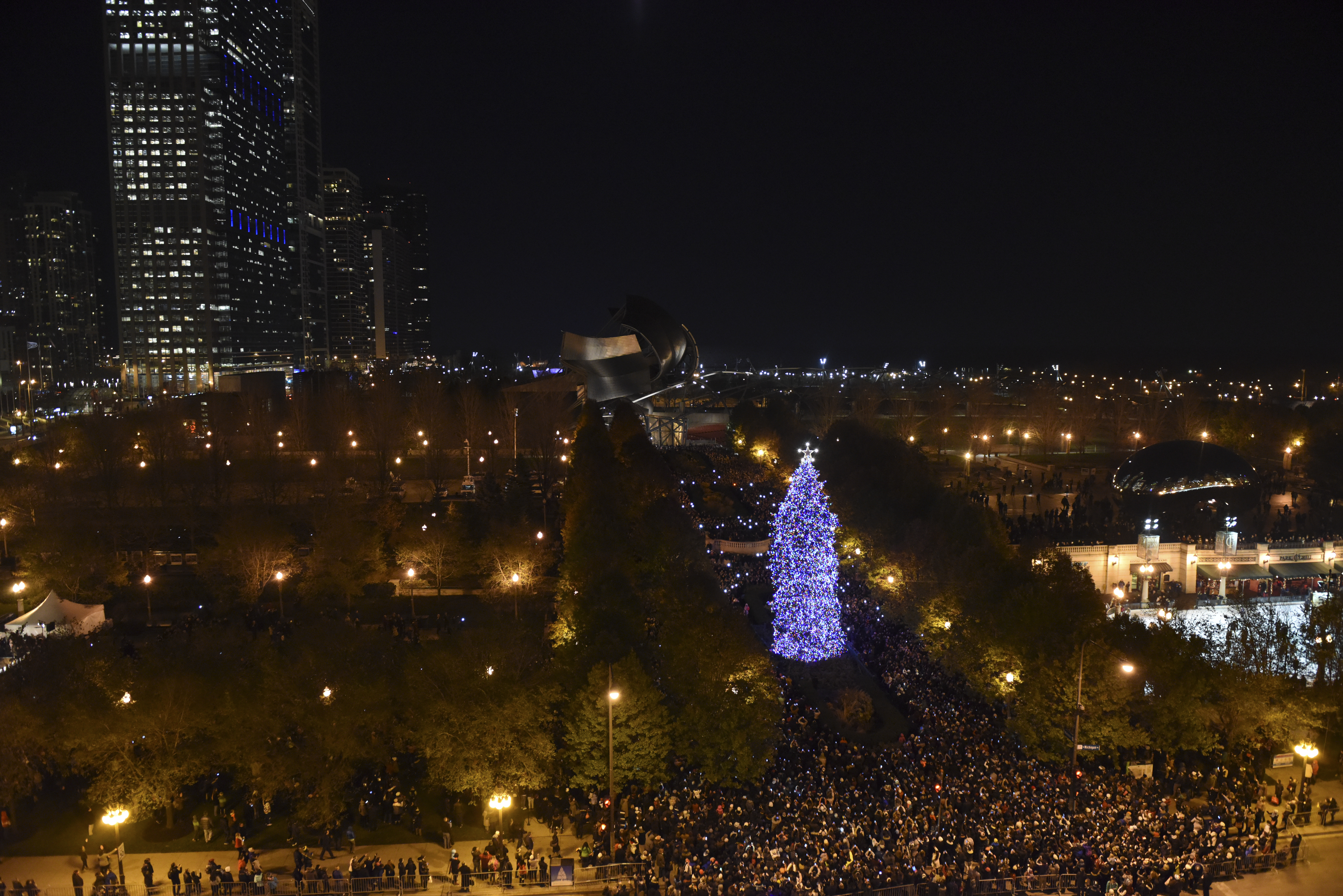 City Picks 60 Foot Christmas Tree From Elmhurst To Decorate Millennium Park This Winter