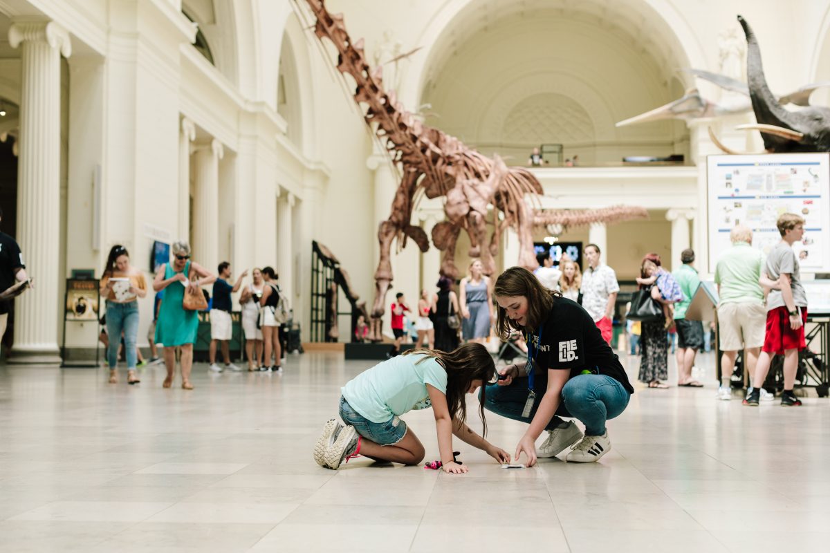 maximo at field museum