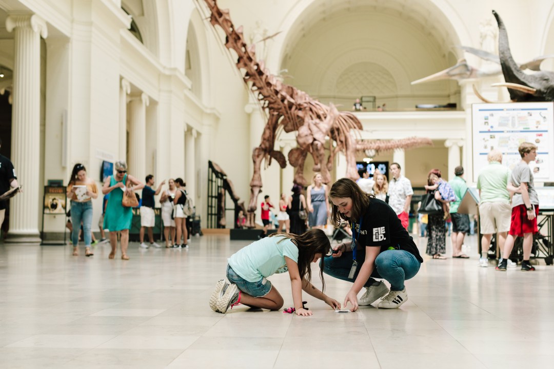 Field Museum Reopening Next Week With Social Distancing