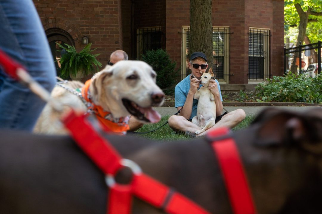 You Can Get Your Pet Blessed In Pullman This Weekend