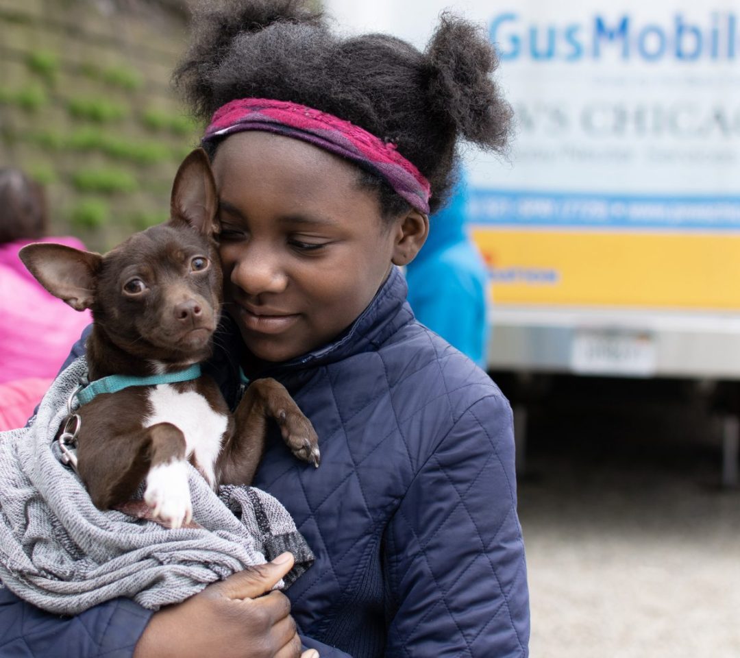 Bears Paws': Chicago Bears launch pet program