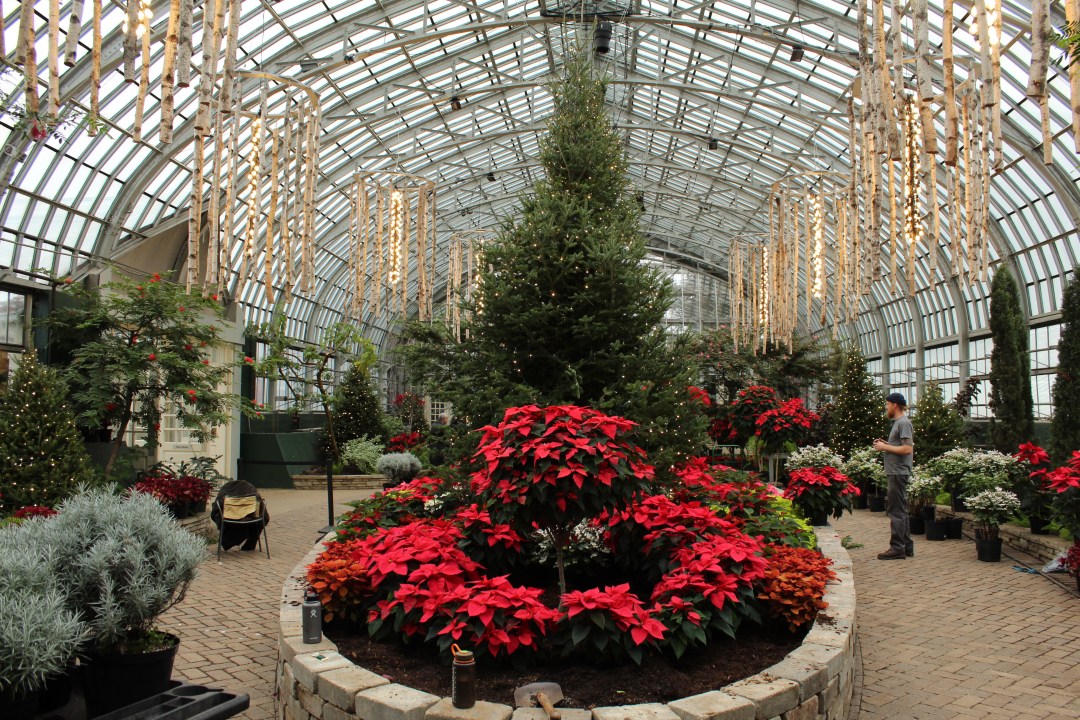 Lincoln Park Conservatory Christmas 2022 Garfield Park Conservatory's Holiday Exhibit Goes Beyond Poinsettias And  Pine Trees