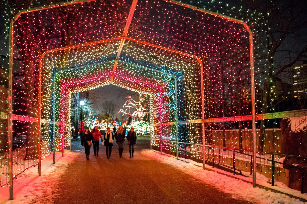 Lincoln Park Zoolights Returns Next Week