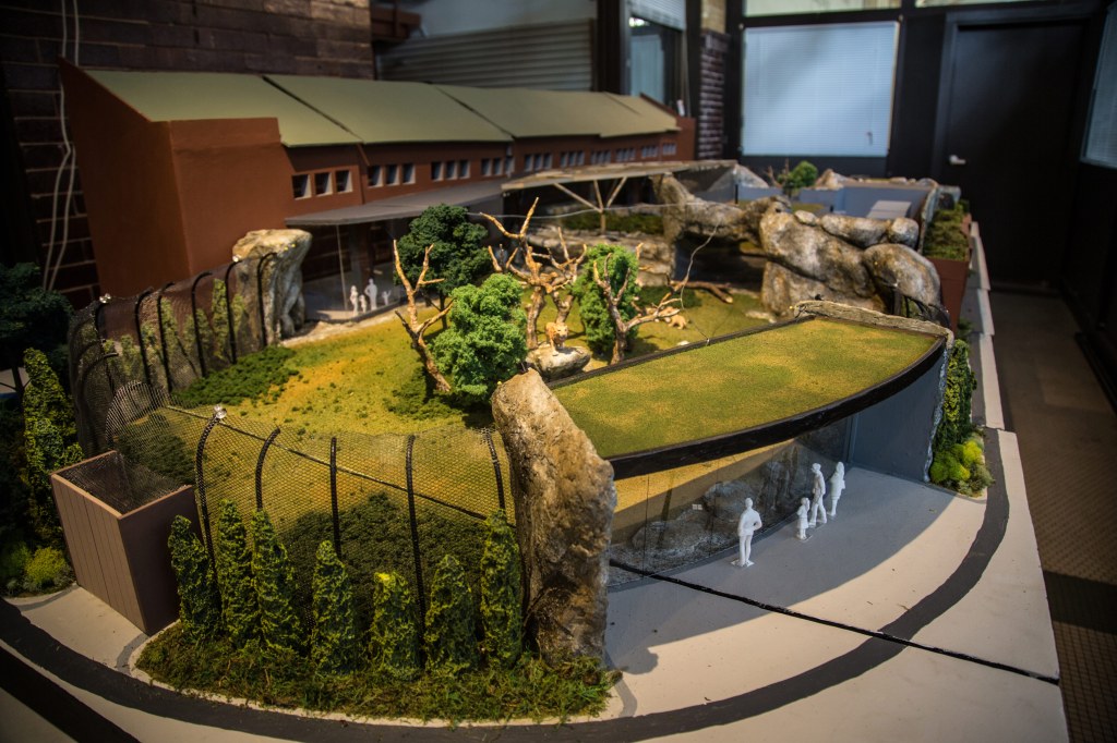 Here's What Lincoln Park Zoo's Lion Habitat Will Look Like Once Its $40