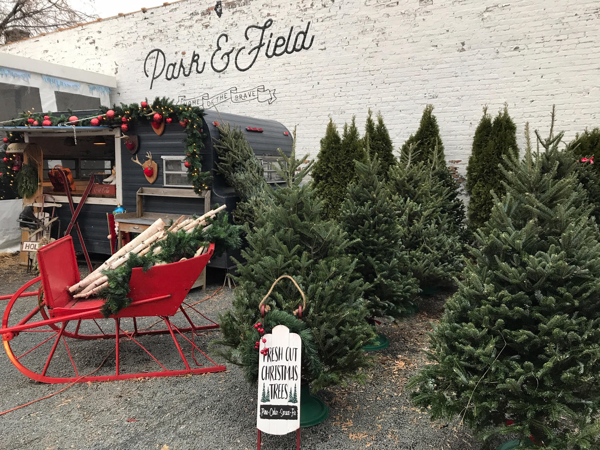Here's Where You Can Buy A Christmas Tree In Chicago