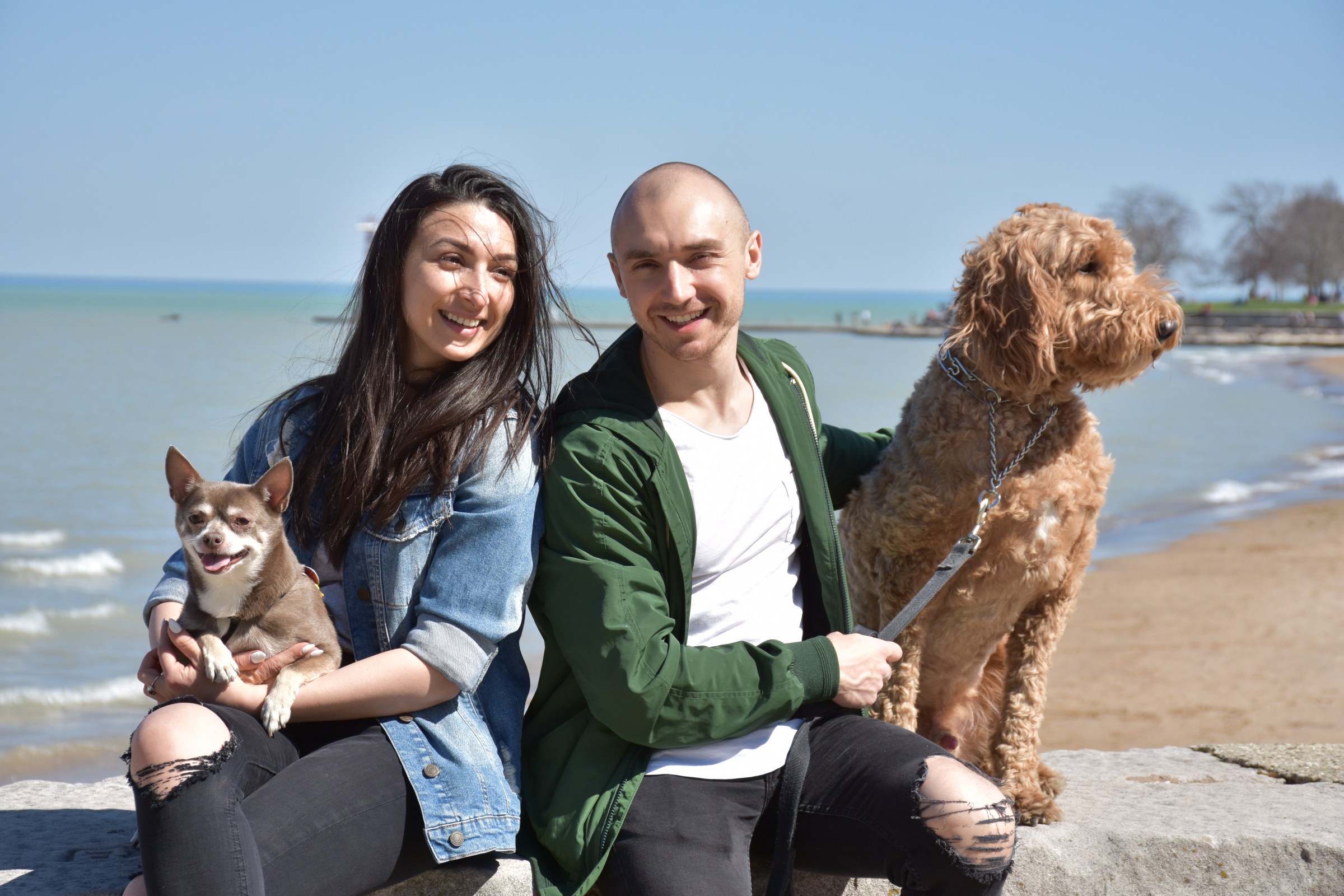 dog parks Archives Block Club Chicago