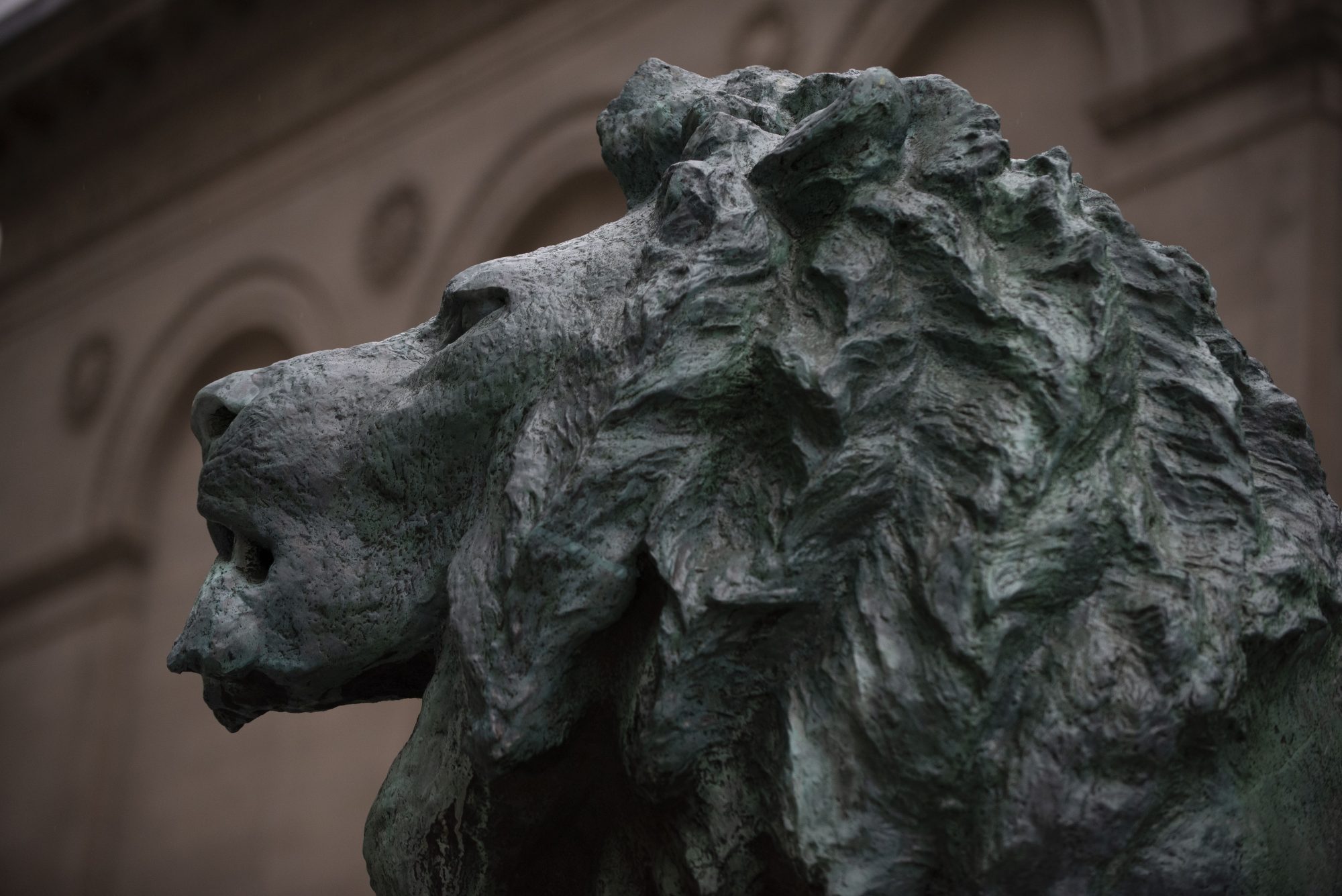 Chicago Bears Football Lion at Art Institute / Michigan Avenue 