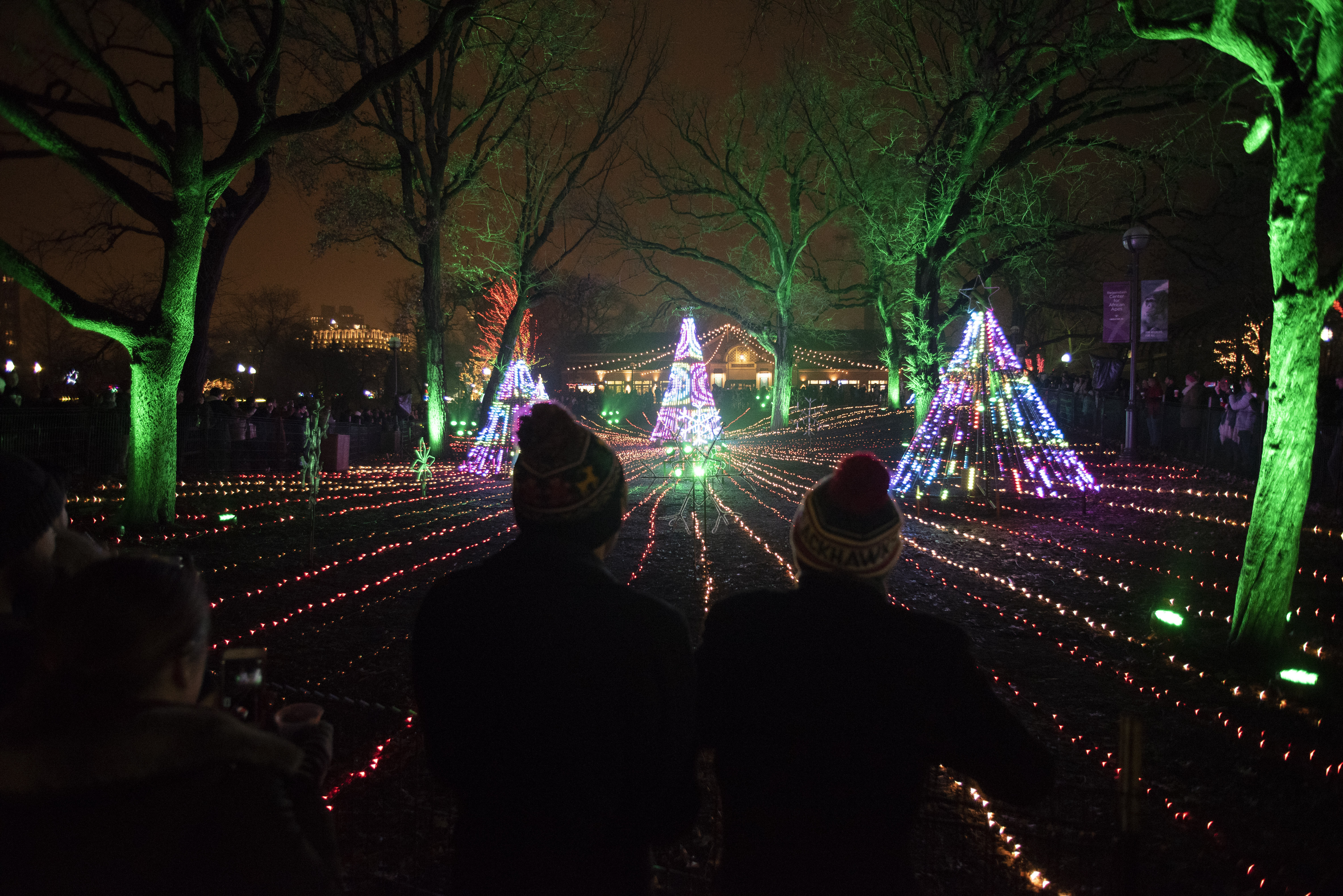 Trives Gøre mit bedste Margaret Mitchell ZooLights Returns To Lincoln Park Zoo Saturday, Going Green With  Wind-Powered LEDs