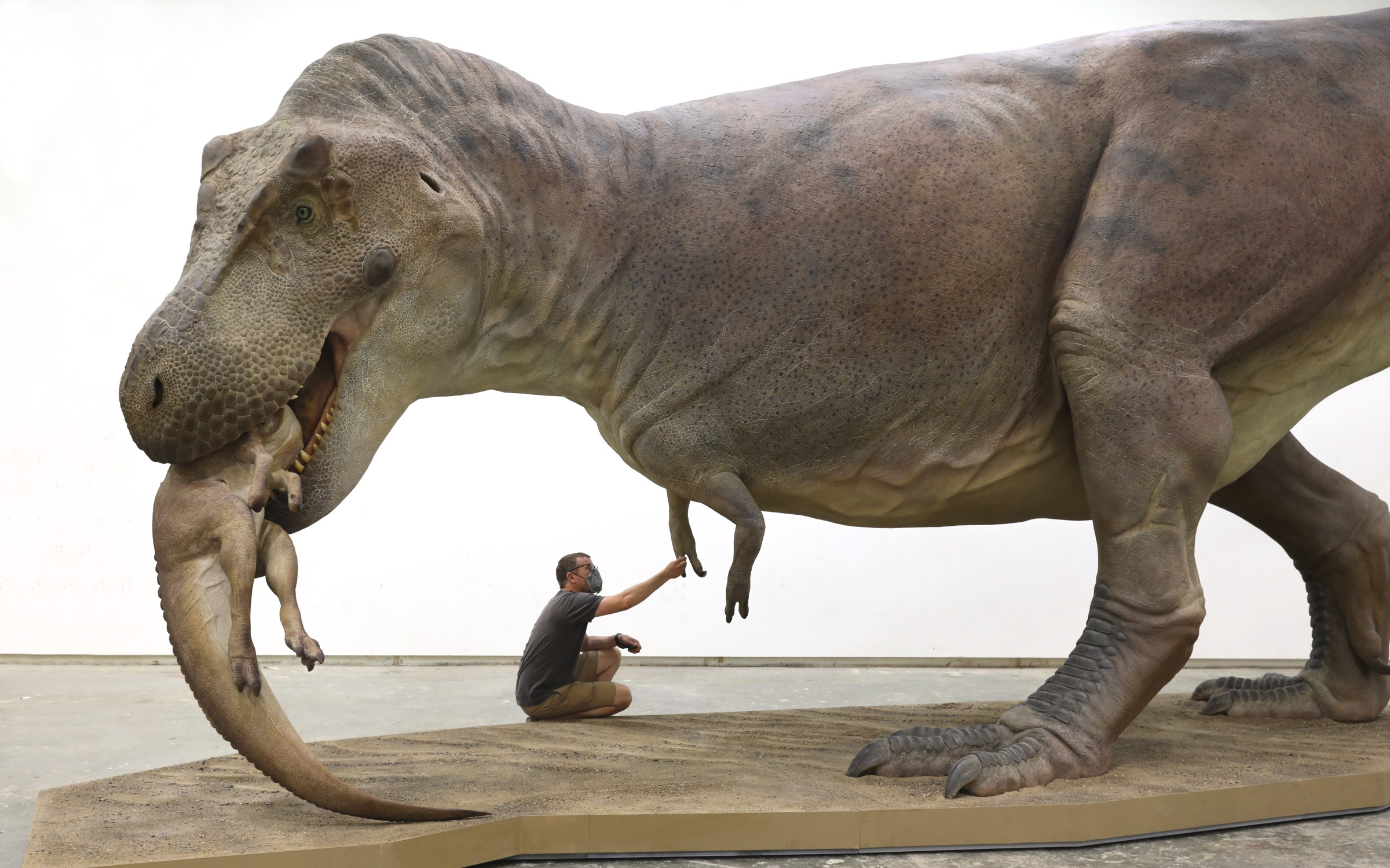 beloning Sceptisch Uitvoerder What Did SUE The T. Rex Look Like When Alive? New Field Model Shows Dino  With Skin, Eyes