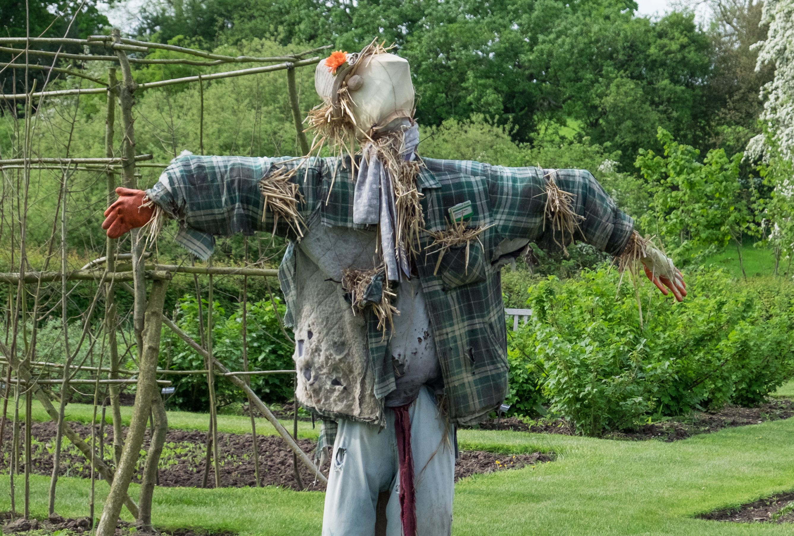 Build Your Own Scarecrow Event In Wicker Park Offers Socially Distant Way  To Raise Cash For Local Groups