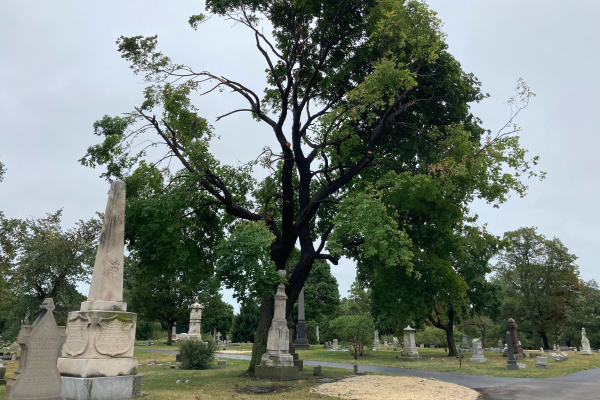 Graceland Cemetery Reopens After August Storm Causes 'Extensive' Damage