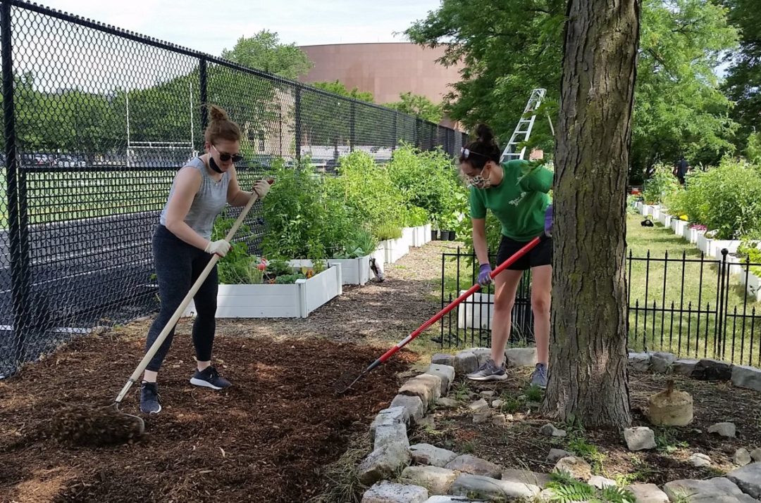 Ravenswood, Lincoln Square And North Park Neighbors Can ...
