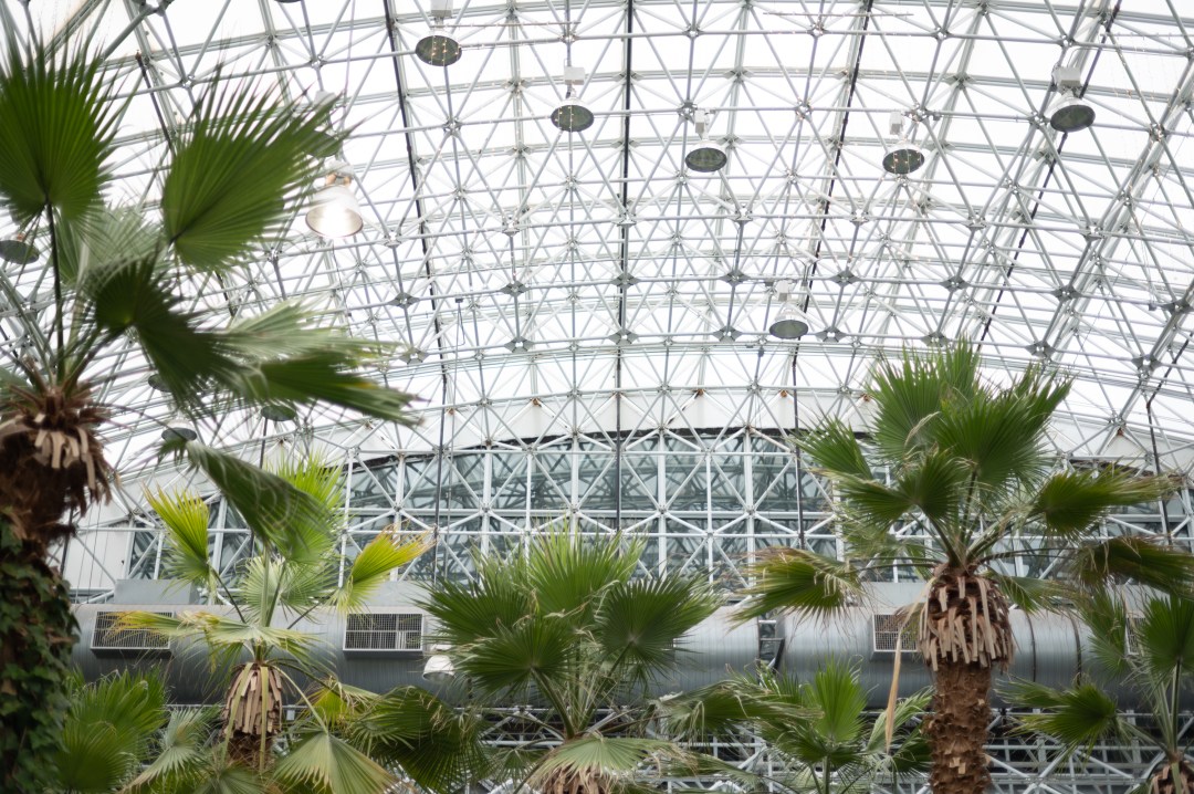 Navy Pier's Crystal Gardens Are Being Turned Into Virtual Scenery — But