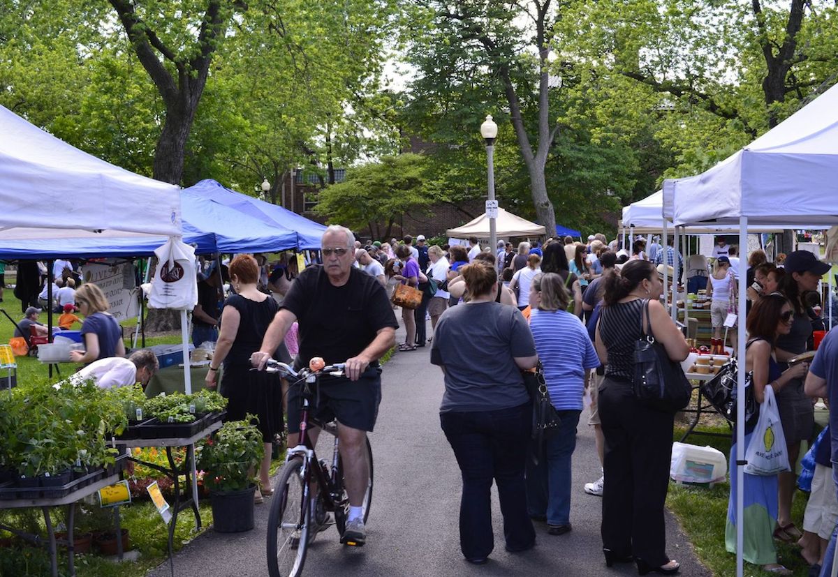 'Yarn Bombers' Adding Vibrancy To 606's Bloomingdale Trail 'Making The