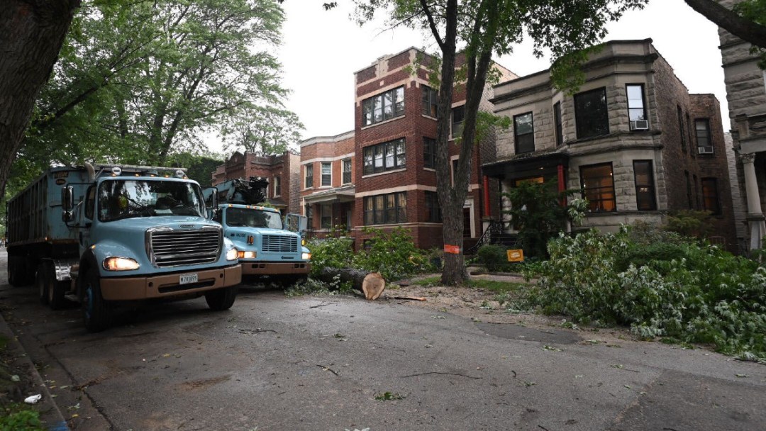 City Says Tree-Saving Sewer Line Pilot Program Failed In Andersonville. Now, Area Is Losing 11 Mature Trees