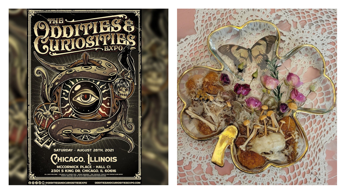 oddities and curiosities expo chicago 2022