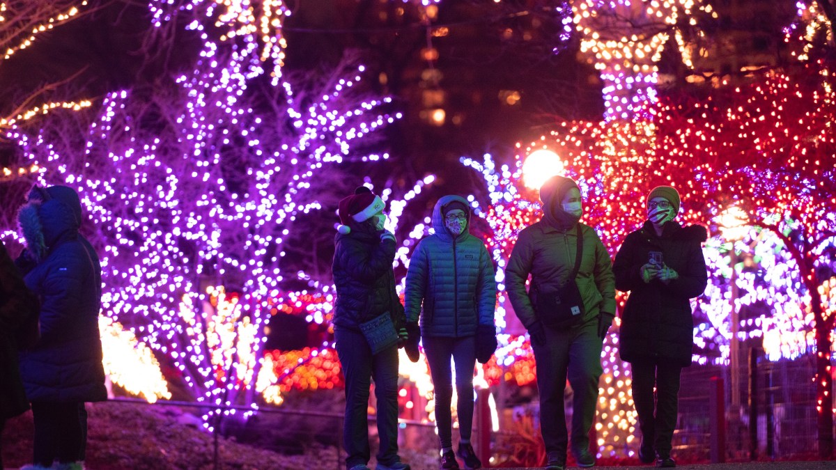 Lincoln Park ZooLights Into