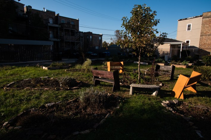 A Bronzeville Family Is Creating A Community Garden To Share Their Love Of Their New Neighborhood