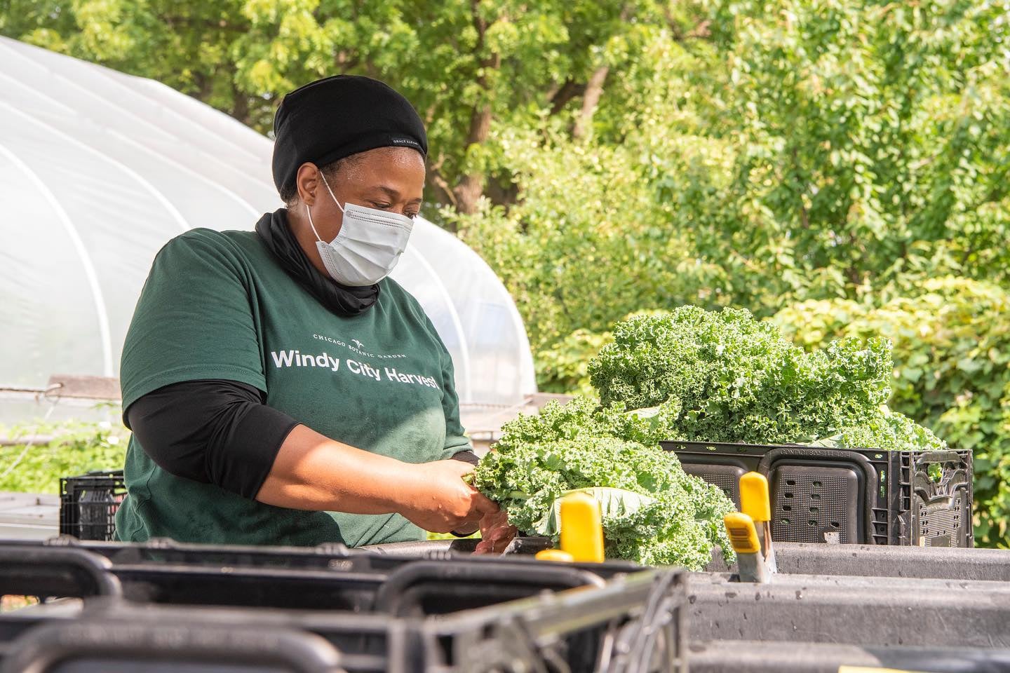 Here S Every Farmers Market In Chicago This Summer   Sloopfarmersmrket 