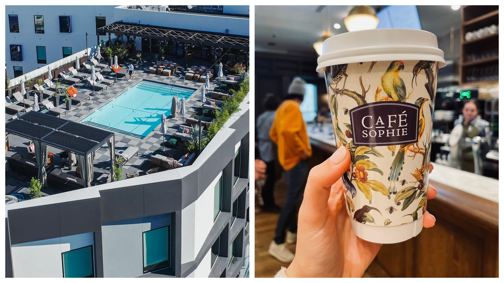 Why Do We Get Labor Day Off? You Can Thank Chicago Workers