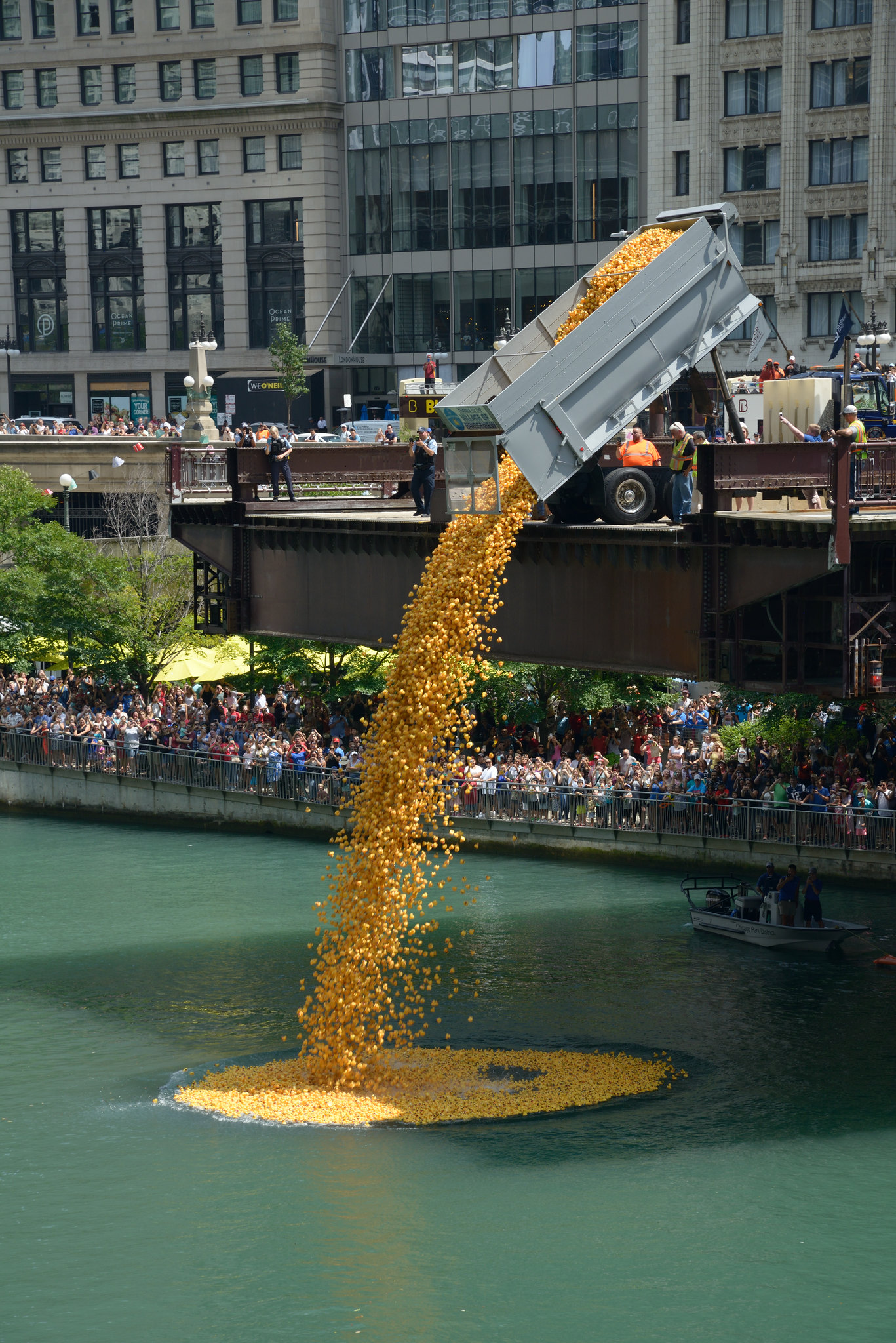 The Chicago Duck Derby Returns to The Loop Chicago YIMBY