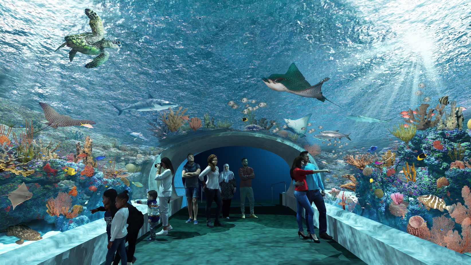 How Long Does Shedd Aquarium Take? 