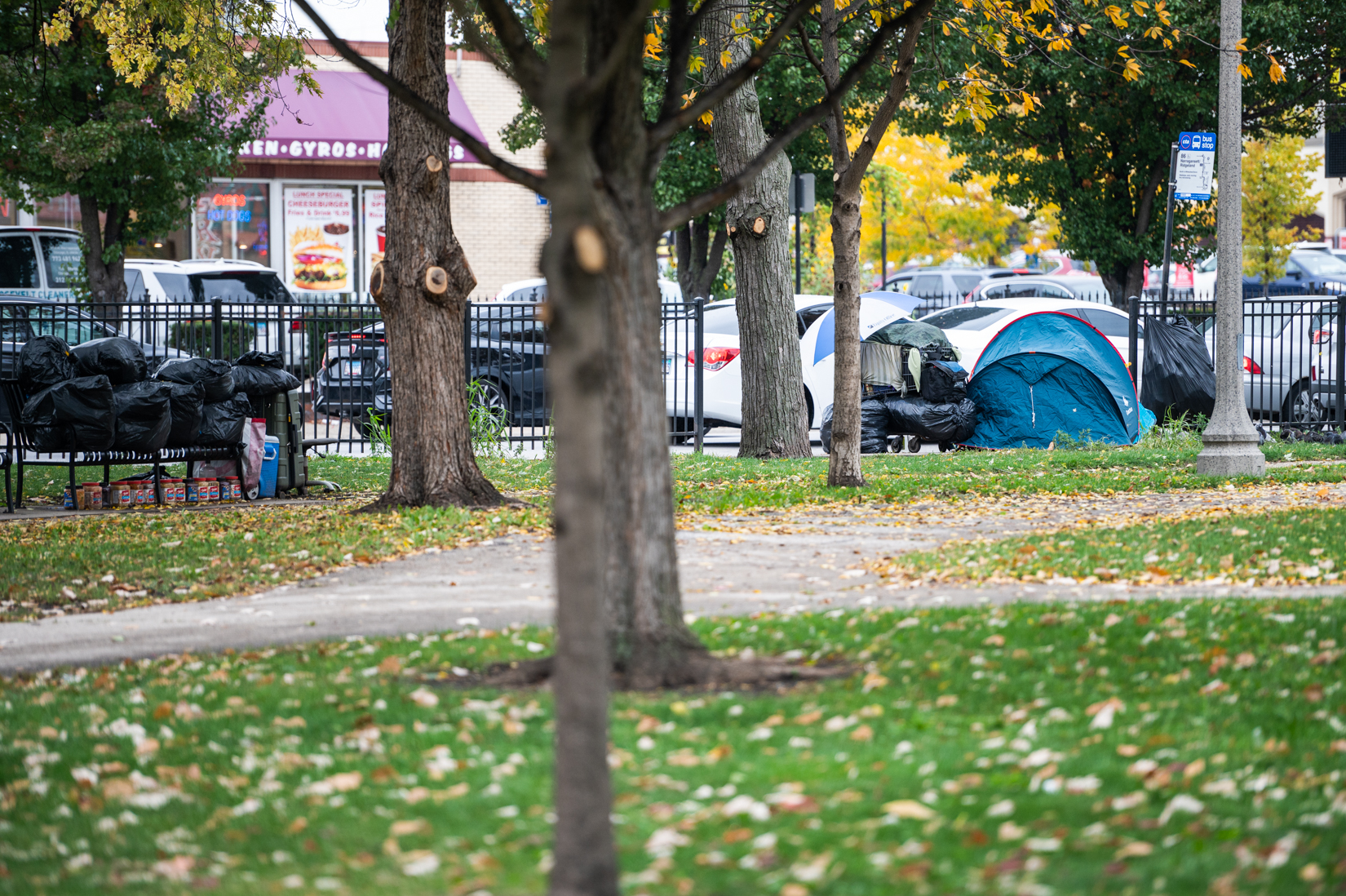 NW Side Neighbors Spent Years Helping Man Living In Merrimac Park Tent — But Now Some Want Him Gone