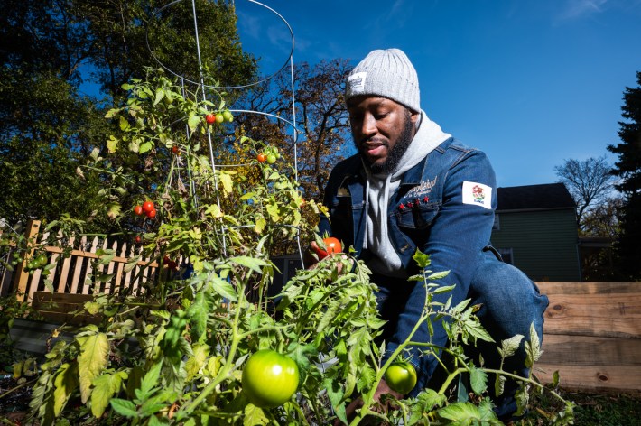 Whole Foods' Decision To Close Englewood Store Inspires Resident To Build  Thriving Community Garden