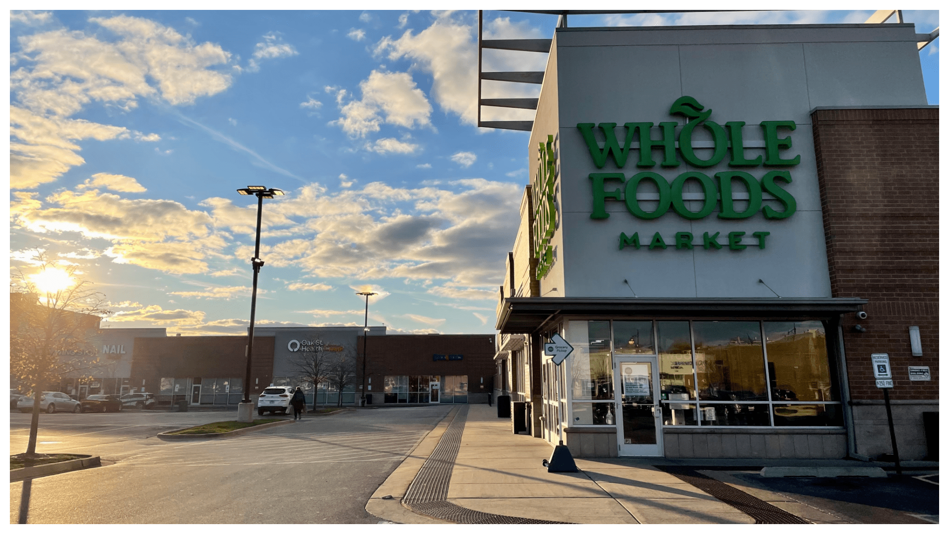 Can You Bring Dogs Into Whole Foods