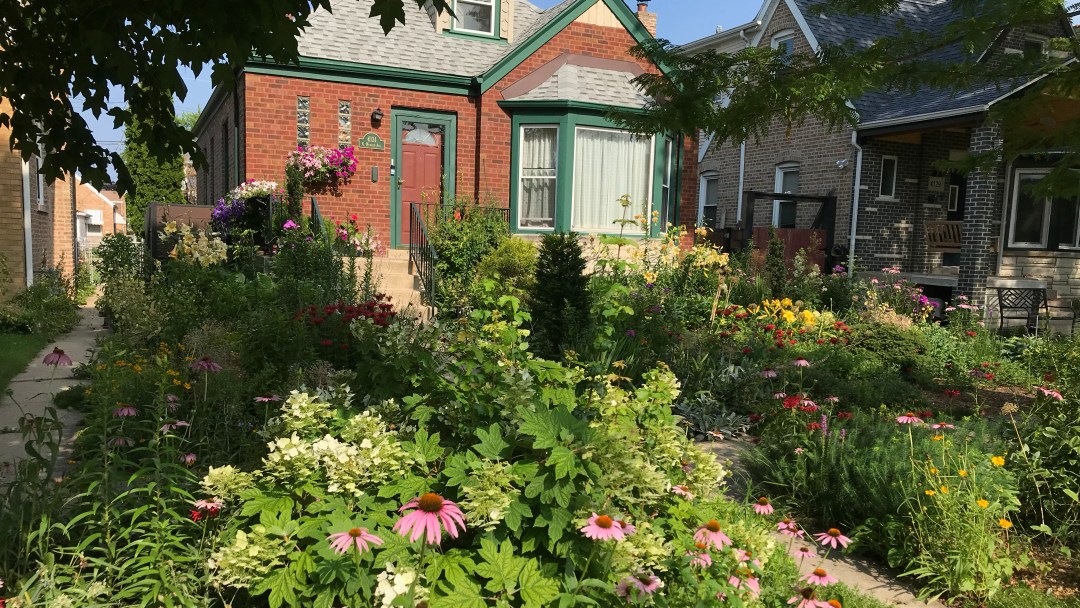 100位当地种植者因创建可持续花园而受到表彰：“他们使城市变得更宜居”